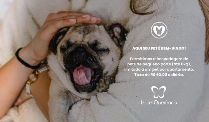 Hotel Querencia グラマド エクステリア 写真